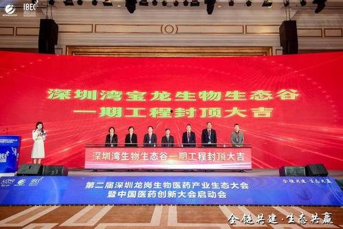 宝龙爆料最新消息新闻,揭秘重大新闻背后的真相与影响